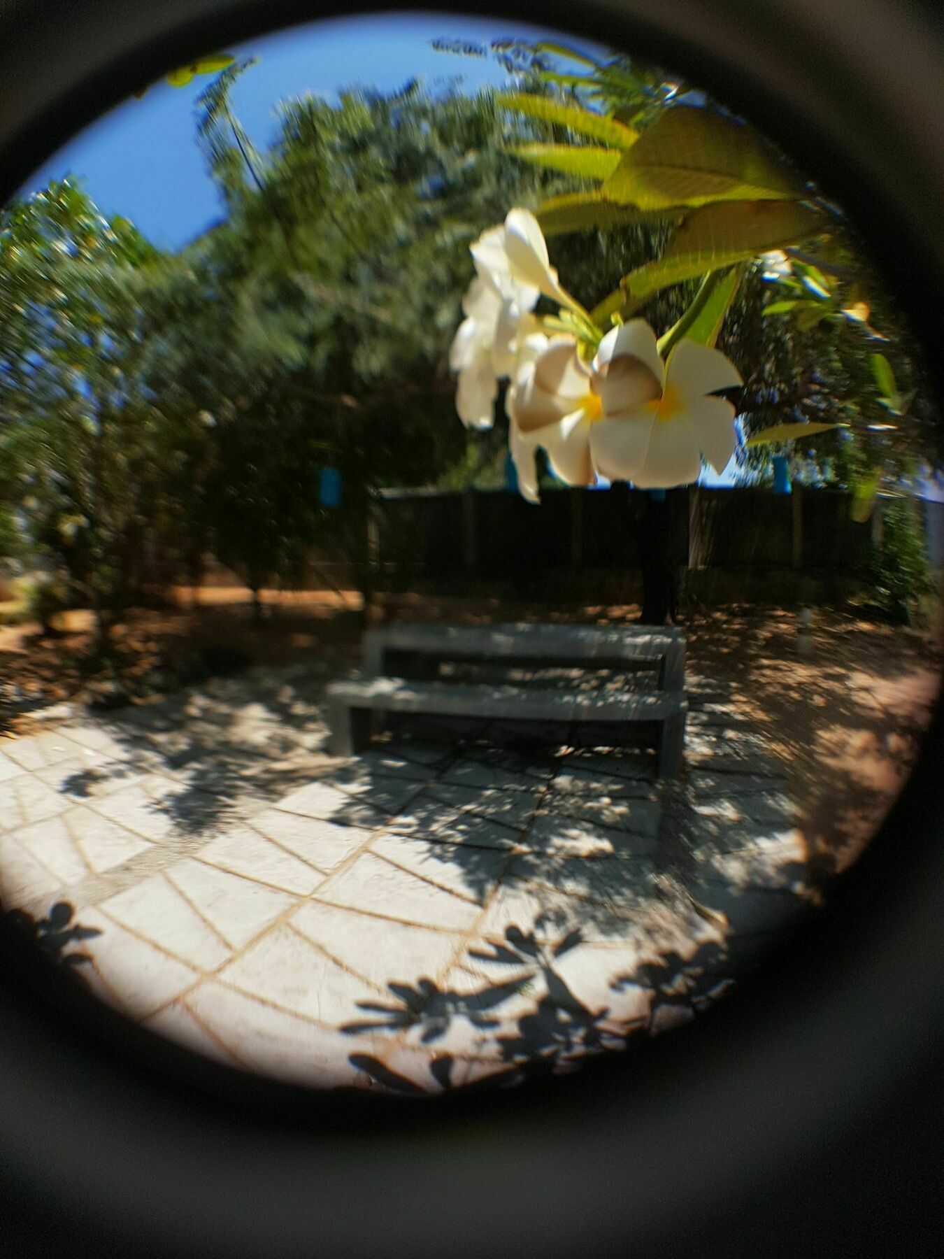 The Danish Villa Resort Arugam Kudah Eksteriør bilde