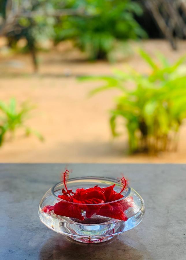 The Danish Villa Resort Arugam Kudah Eksteriør bilde